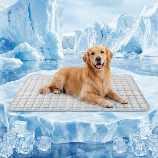 a9c0f4b6688a100f98c47e310f80652f